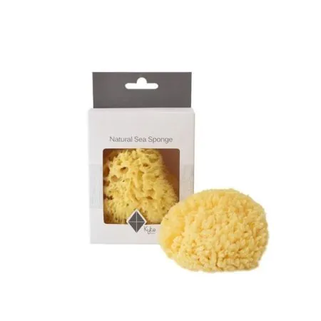 Natural Sea Sponge