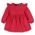 Baby Doll Dress 2 Pack - Holly Berries