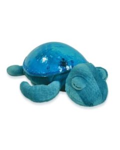 Tranquil Turtle Aqua