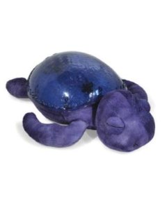 Tranquil Turtle Ocean