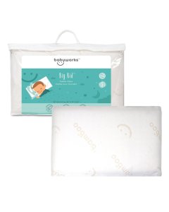Baby Works Toddler Pillow with Bamboo Pillow Case