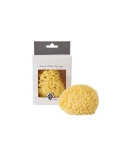 Natural Sea Sponge