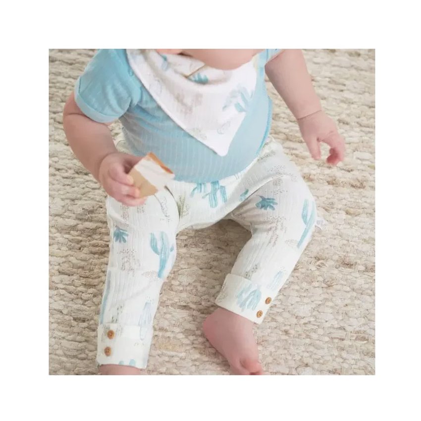 2 Pack Pants - Desert Cactus