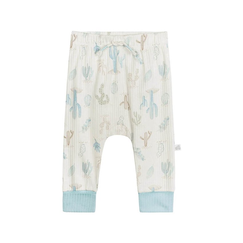 2 Piece Pant + Shirt - Desert Cactus