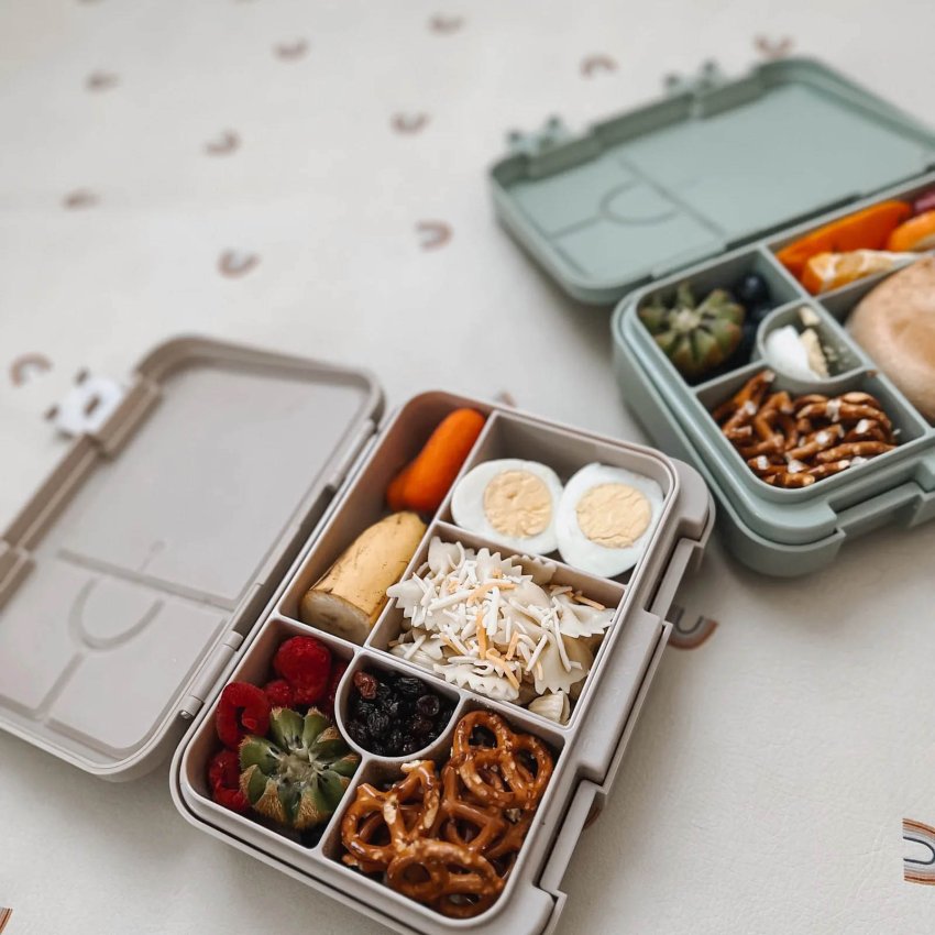 Bento Lunch Box - Fairy Bush