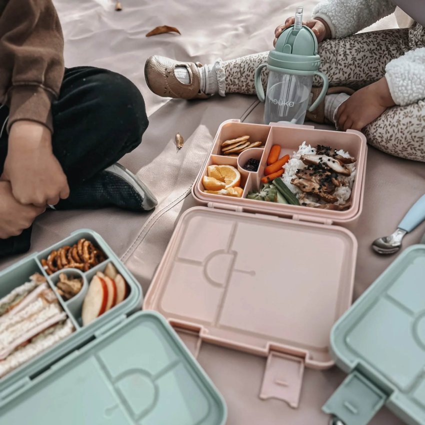 Bento Lunch Box - Fairy Bush